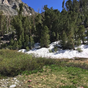 Onion Valley Campground - Golden trout lake area, snow in mid June. - Campgrounds Near Me - Independence, California