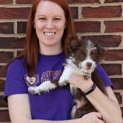 Advanced Pet Care Clinic