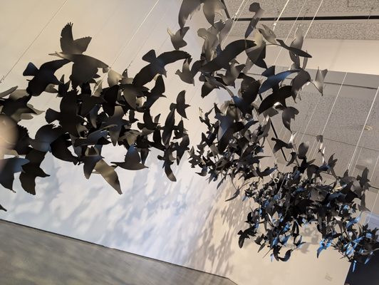 Oceanside Museum of Art by null