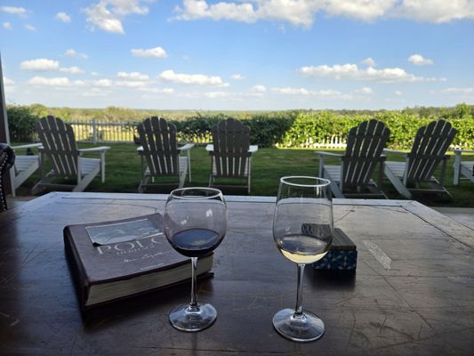 Grapetown Vineyard by null