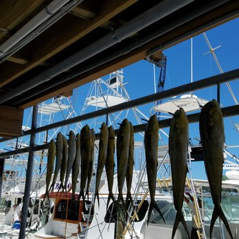 Sea Horse Charters - Fishing Near Me - Islamorada, Florida Sea Horse Charters - Fishing Near Me - Islamorada, Florida