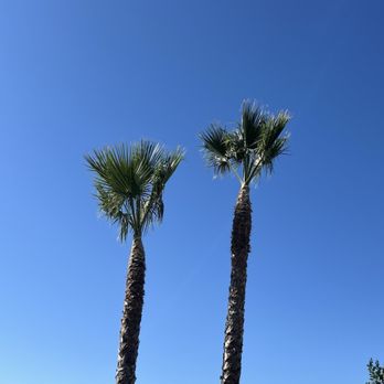 JF Gonzalez Landscape Maintenance - Tree Services Near Me - Canoga Park , California