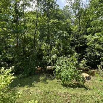 ABC Property Maintenance & More - After picture of tree removed. - Lawn Services Near Me - Ballston Spa, New York ABC Property Maintenance & More - After picture of tree removed. - Lawn Services Near Me - Ballston Spa, New York