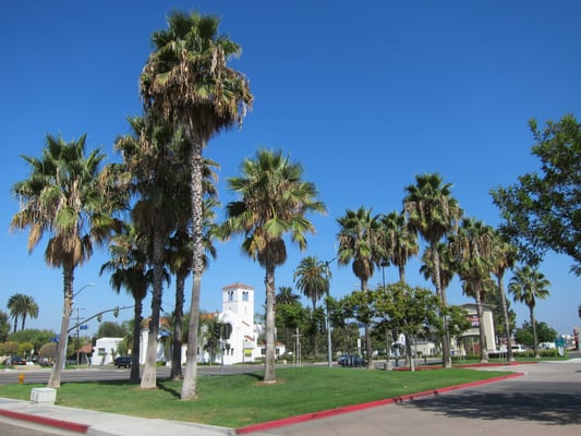 Buena Park City Manager by null