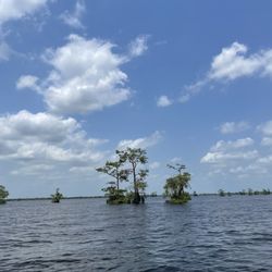 McGee's Swamp Tours