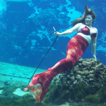 Weeki Wachee Springs - Live Mermaids! - Amusement Parks Near Me - Spring Hill, Florida Weeki Wachee Springs - Live Mermaids! - Amusement Parks Near Me - Spring Hill, Florida