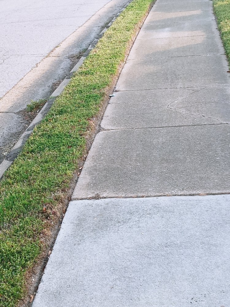 DIVINE TIMING Virginia Beach, Virginia Lawn Services Phone Number