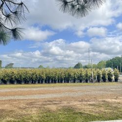 Semmes Heritage Park - Next to a nursery