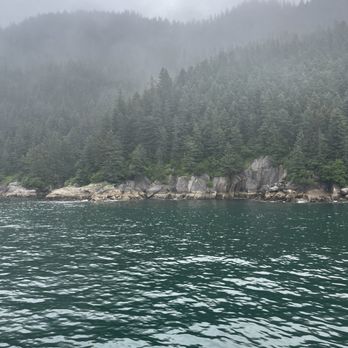 Major Marine Tours - Cloudy but still scenic - Boating Near Me - Seward, Alaska