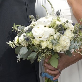Bloomster's - Florists Near Me - San Jose, California Bloomster's - Florists Near Me - San Jose, California