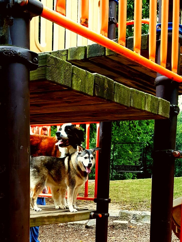 Social spots from Brookhaven Park