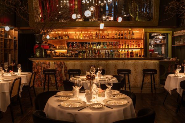 Tucci New York City by null