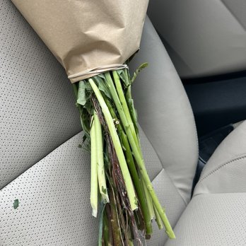 Rocklin Florist - Uneven - Florists Near Me - Rocklin, California