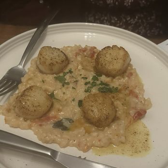 Salve Osteria - Scallops with risotto - Italian Near Me - St. Louis, Missouri Salve Osteria - Scallops with risotto - Italian Near Me - St. Louis, Missouri