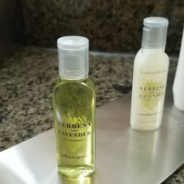 The shampoo and conditioner was nice The shampoo and conditioner was nice