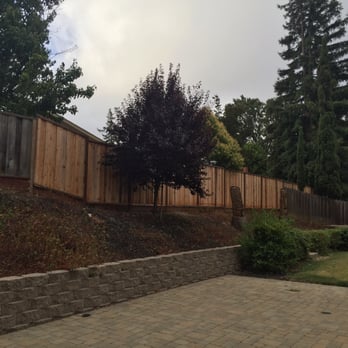 Prodigy Works Tree Service - Another before photo of hillside - Landscaping Near Me Prodigy Works Tree Service - Another before photo of hillside - Landscaping Near Me