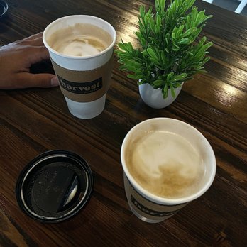 Harvest Coffee + Kitchen - Coffee & Tea Near Me - Fort Worth, Texas