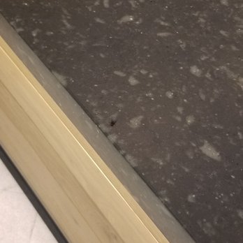 Starbucks - Flies on the counter where food and beverages are delivered. Completely unsanitary - Coffee & Tea Near Me - Rapid City, South Dakota