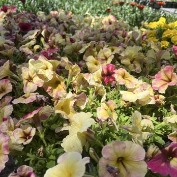 Leaf Landscape Supply - Nurseries & Gardening Near Me - Austin, Texas