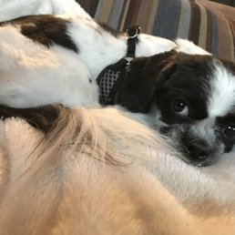 Peanut!