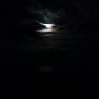 Guy's Beachside Bar and Grill - Full moon - New American Near Me - Islamorada, Florida Guy's Beachside Bar and Grill - Full moon - New American Near Me - Islamorada, Florida
