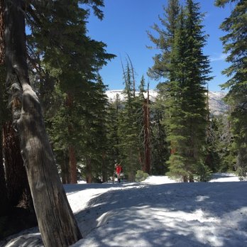 Cloud's Rest - Early june 2016 - more snow - Hiking Near Me - Yosemite, California Cloud's Rest - Early june 2016 - more snow - Hiking Near Me - Yosemite, California