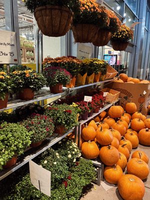 Whole Foods Market by null