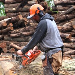 Kendrick Forest Products - Nick Miller "bucks" logs prior to entering the sawmill