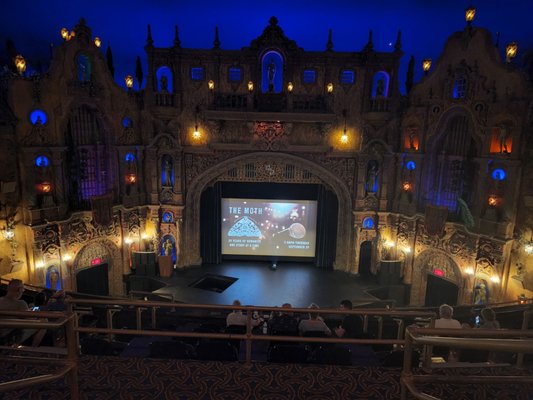 Tampa Theatre by null