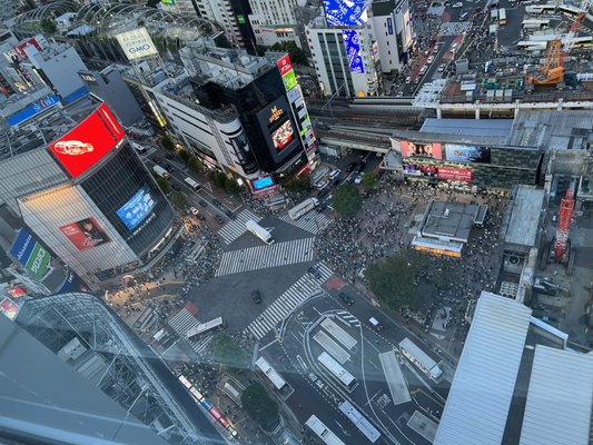 Shibuya Excel Hotel Tokyu by null