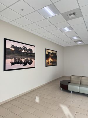 WakeMed Raleigh Campus by null