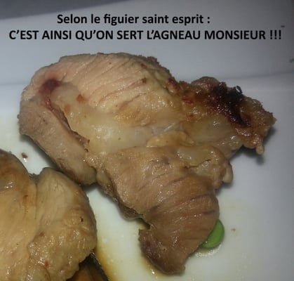 Le Figuier de Saint-Esprit by null