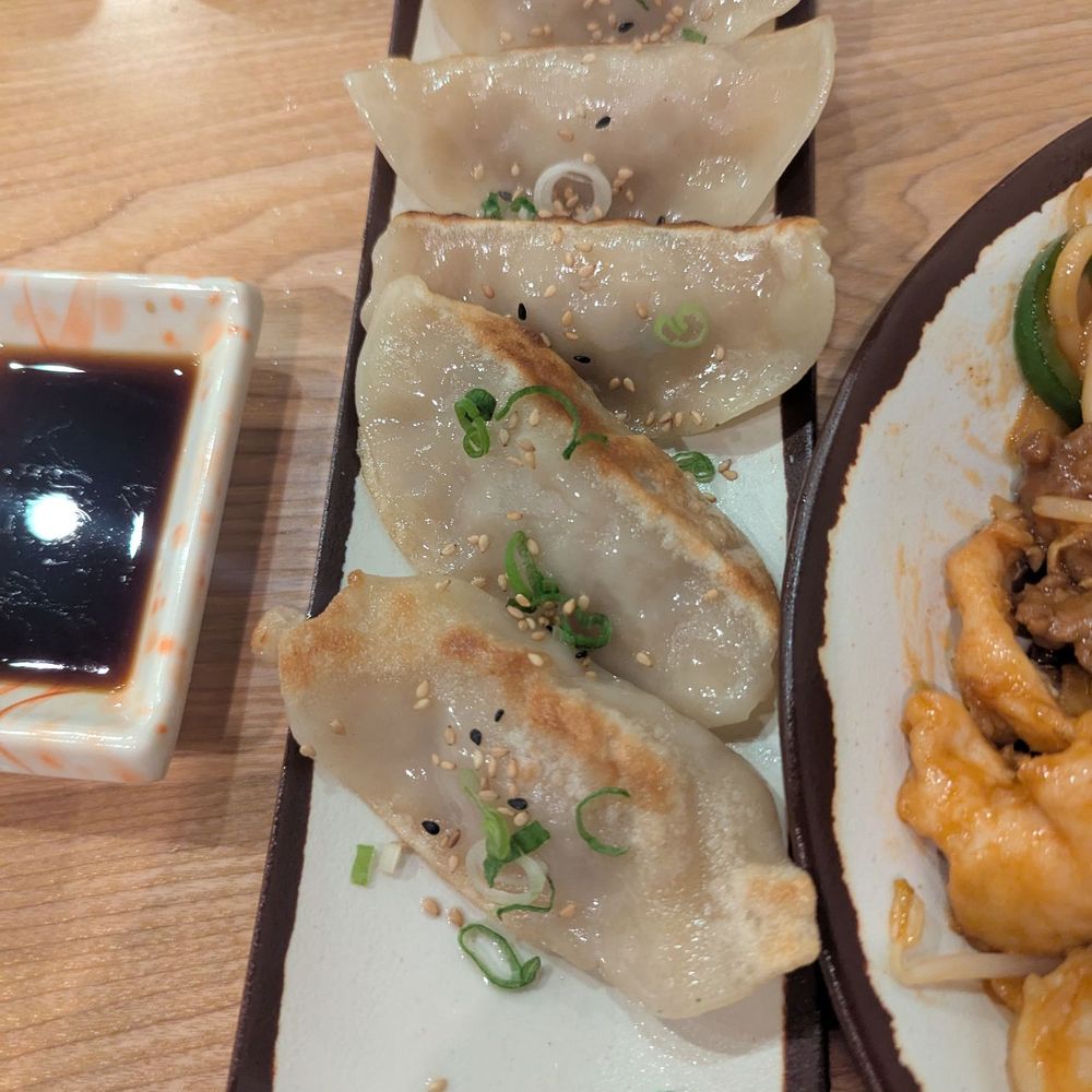 Wonderful Hand Pulled Noodle - Dumplings - Noodles Near Me - Orlando, Florida Wonderful Hand Pulled Noodle - Dumplings - Noodles Near Me - Orlando, Florida