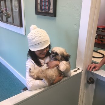 Cleopetra's Grooming - Pet Groomers Near Me - Exton, Pennsylvania