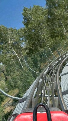 Park City Alpine Slide by null