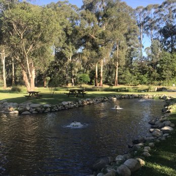 Buxton Trout & Salmon Farm - Farms Near Me - Buxton, VIC Buxton Trout & Salmon Farm - Farms Near Me - Buxton, VIC