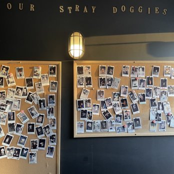 Stray Dog - Front entrance - New American Near Me - Minneapolis, Minnesota