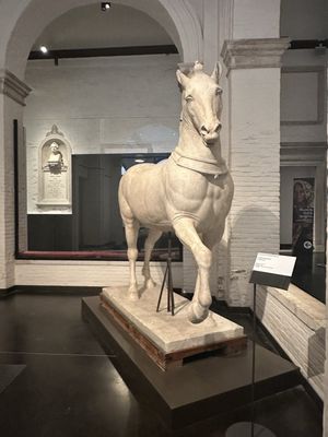 Gallerie dell'Accademia by null