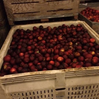 Riley's Farm - Arkansas black apples - Fruits & Veggies Near Me - Oak Glen, California Riley's Farm - Arkansas black apples - Fruits & Veggies Near Me - Oak Glen, California