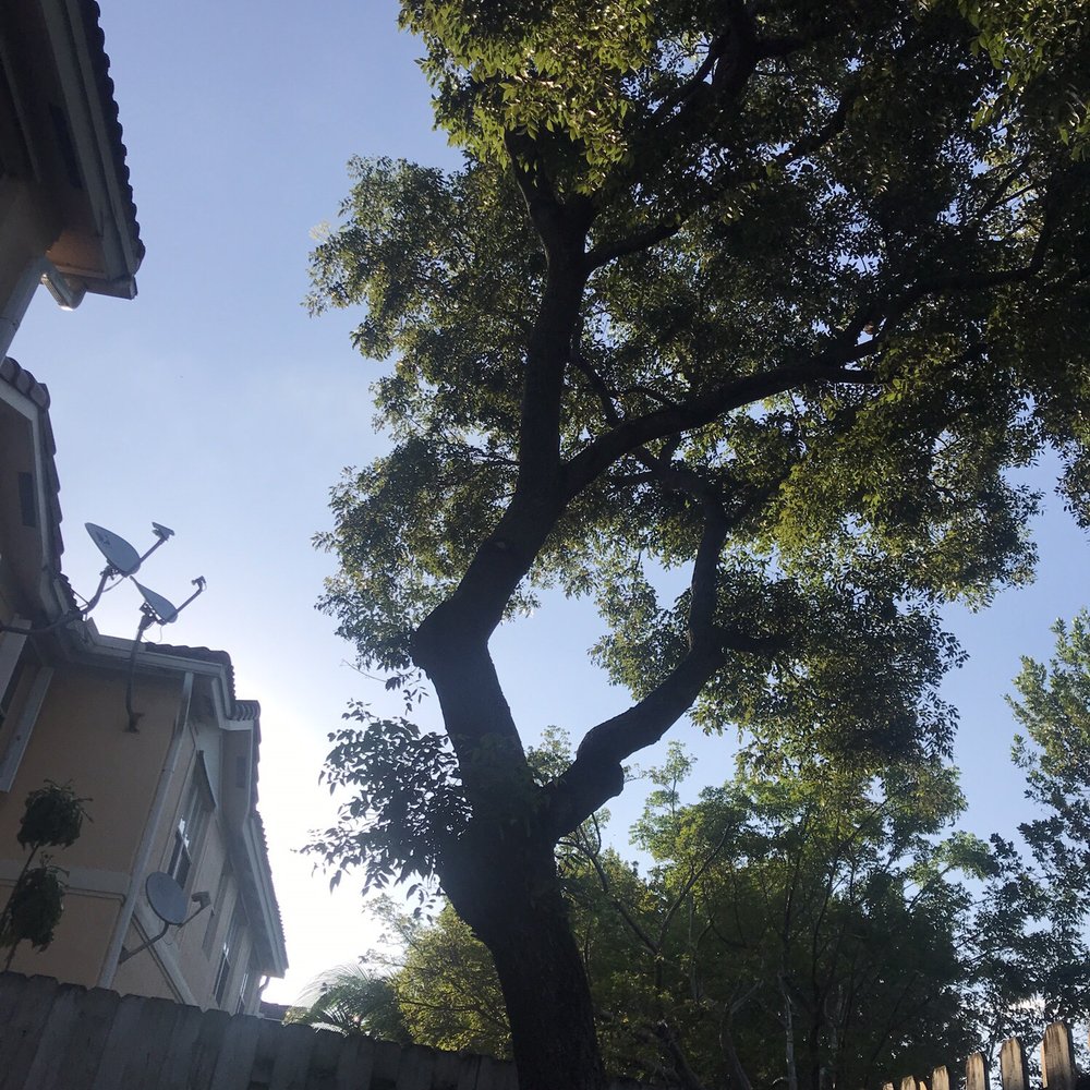 SupraLawn - Tree Services Near Me SupraLawn - Tree Services Near Me