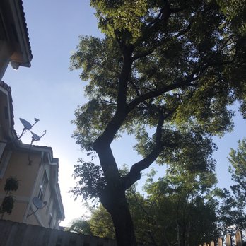 SupraLawn - Tree Services Near Me SupraLawn - Tree Services Near Me