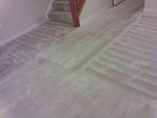 We get the dirt out! - Spill a drink? Pet had an accident? Or is carpet just starting to look a little dingy? Let us breathe new life into it! We get the dirt out! - Spill a drink? Pet had an accident? Or is carpet just starting to look a little dingy? Let us breathe new life into it!