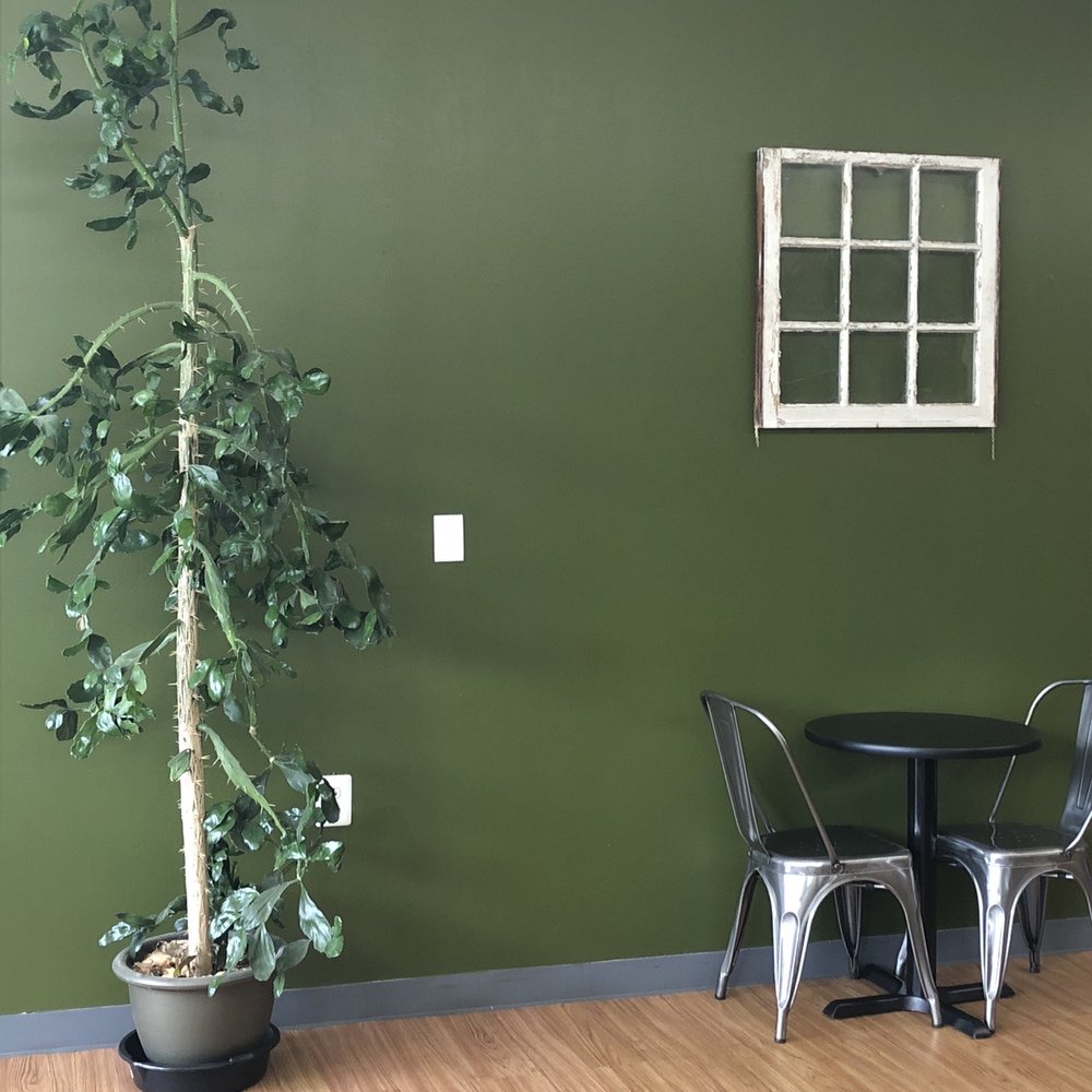 Verdant Cafe - Beautiful inside - Comfort Food Near Me - Hi-Nella, New Jersey Verdant Cafe - Beautiful inside - Comfort Food Near Me - Hi-Nella, New Jersey