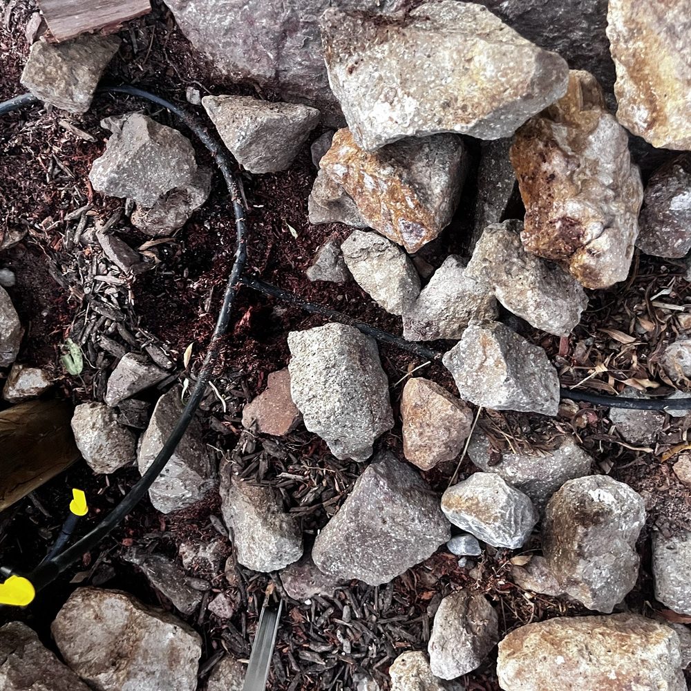Affordable Tree Service - Tree Services Near Me - Las Vegas, Nevada Affordable Tree Service - Tree Services Near Me - Las Vegas, Nevada