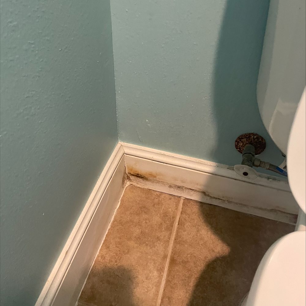 RealJoy Vacations - Mold around baseboards - Vacation Rentals Near Me - Destin, Florida RealJoy Vacations - Mold around baseboards - Vacation Rentals Near Me - Destin, Florida
