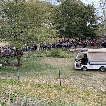 Cheetah Run - Kids Activities Near Me - Escondido, California Cheetah Run - Kids Activities Near Me - Escondido, California