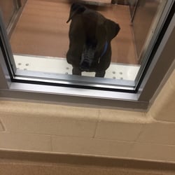 Carrollton Animal Services & Adoption Center