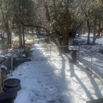 Big Bear Cool Cabins - Property Management Near Me - Big Bear Lake, California