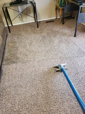 November carpet cleaning project - This project was to clean a men's housing unit. The customer's were very pleased. November carpet cleaning project - This project was to clean a men's housing unit. The customer's were very pleased.
