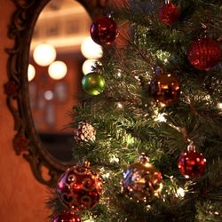 Caruso's Grocery - Christmas tree